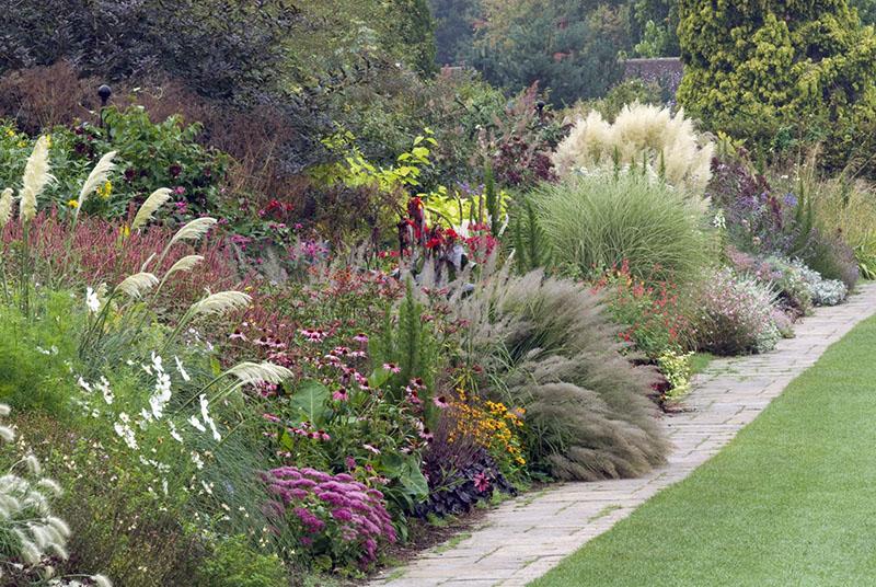 herbes ornementales pour le jardin