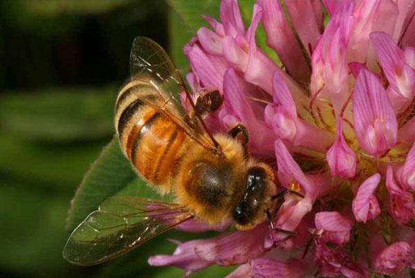 condiciones naturales