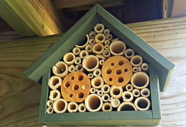 maison pour abeilles sauvages