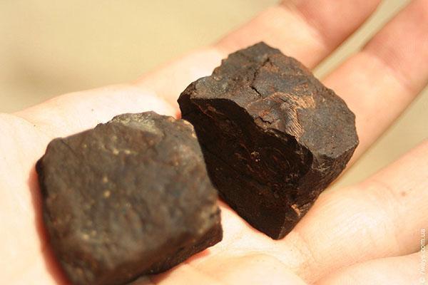 carbón marron