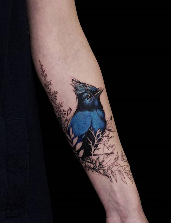 Stellar jay pták tetování