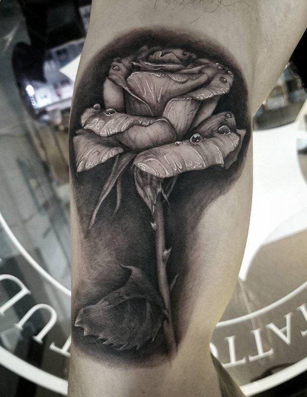 Rose ve stupních šedi s rosou nebo kapkami vody