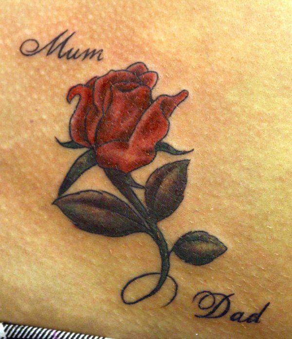 Farbige Rose für Mama und Papa