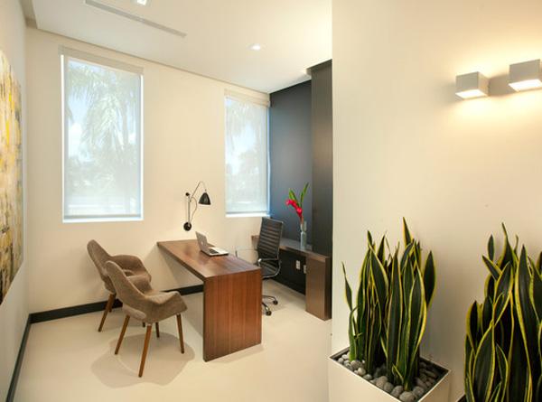 Miami Modern Scandinavian Medical Office-1