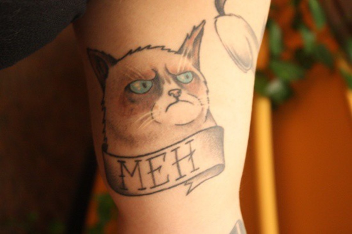 Blau-Augen-Mürrisch-Katzenkopf-Tattoo-auf-Bizeps