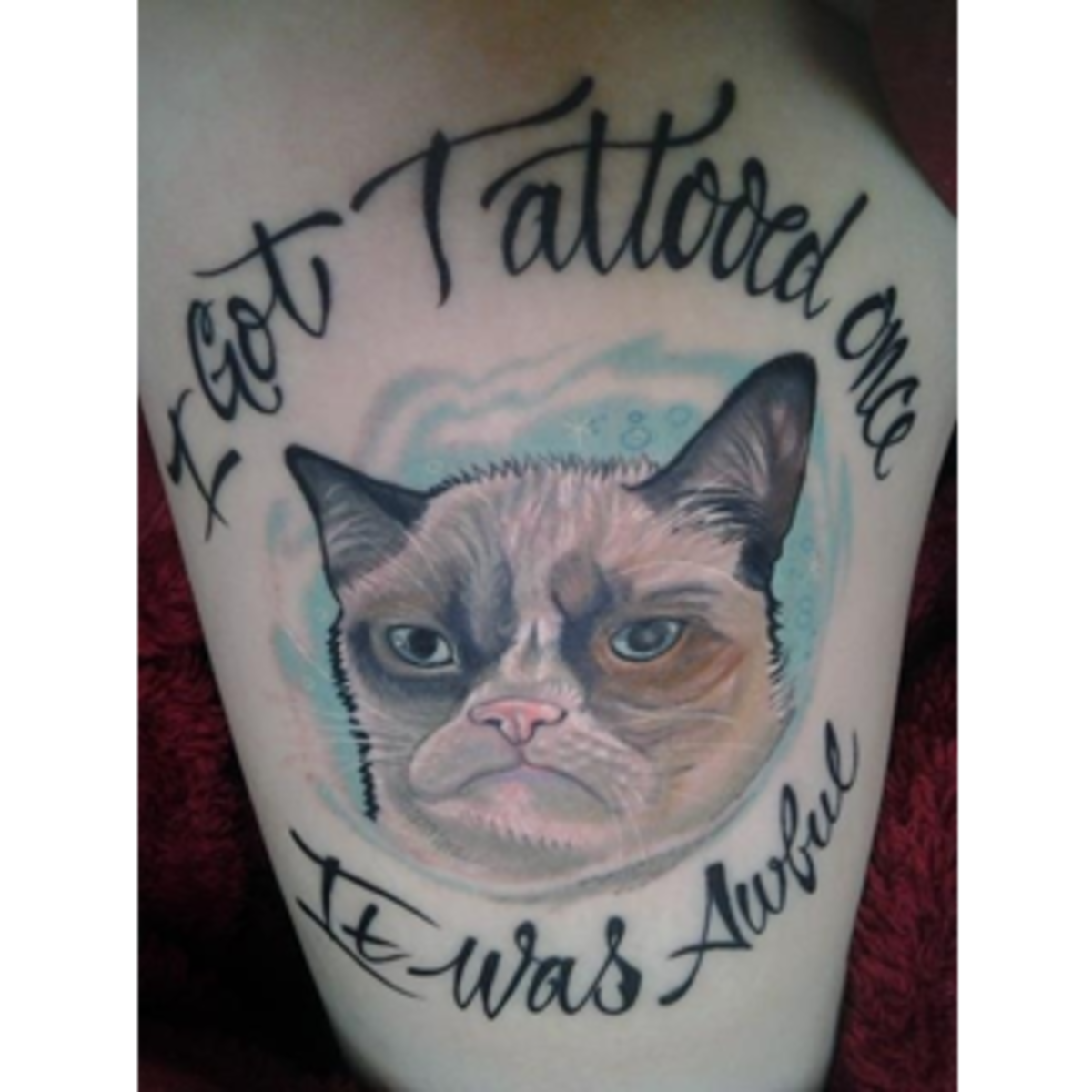 dacb967dcf3eb665bae6c41ccb47-grumpy-cat-i-got-a-tattoo-one-it-was-awesome