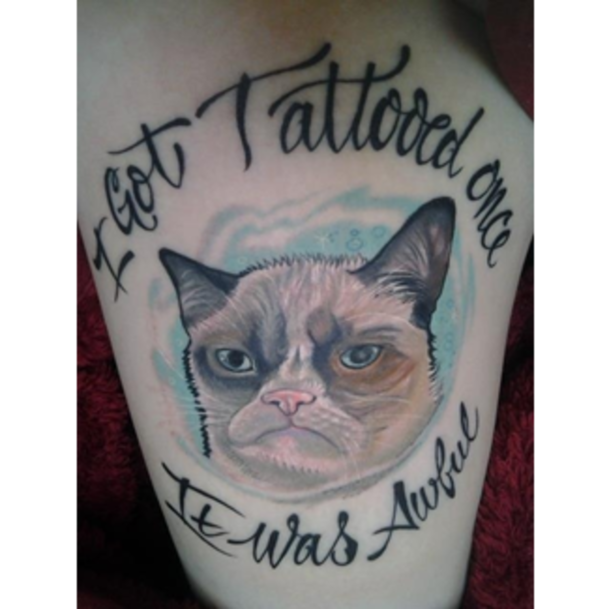 dacb967dcf3eb665bae6c41ccb47-mürrische-katze-ich-hat-ein-tattoo-einmal-es-war-furchtbar