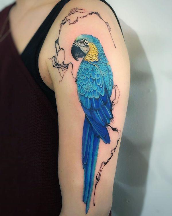papoušek tetování