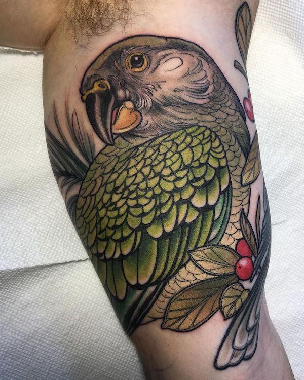 velký papoušek tetování na paži
