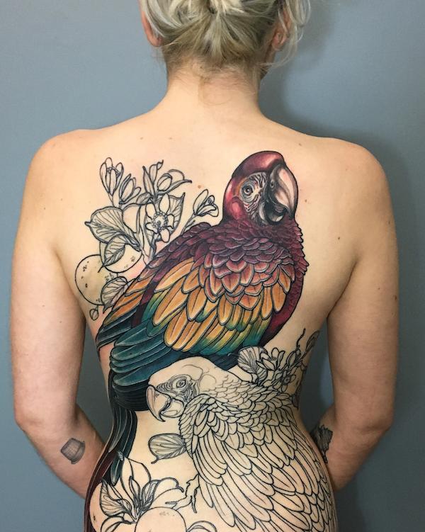 Papoušek tetování na zádech