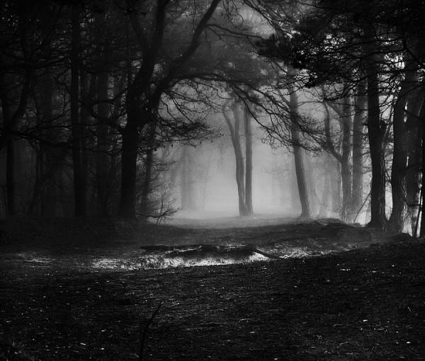 trauriges Bild