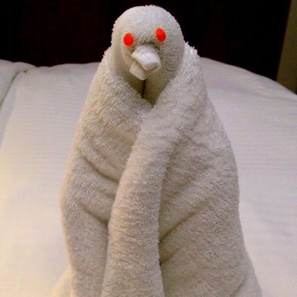 منشفة اوريغامي البطريق