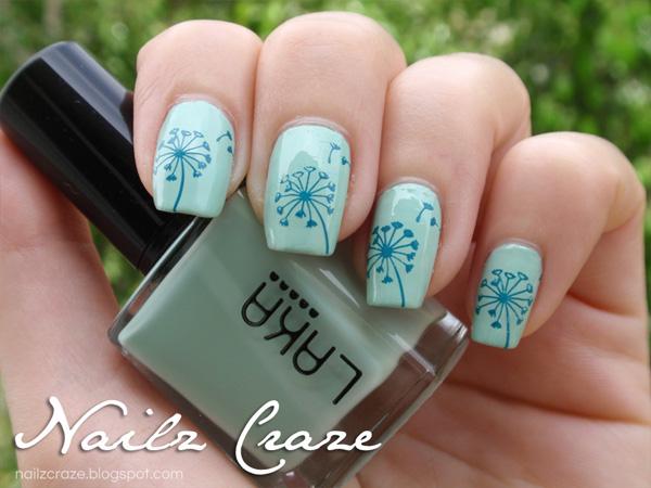 Dandelion Nailz Craze NC01 ختم لوحة