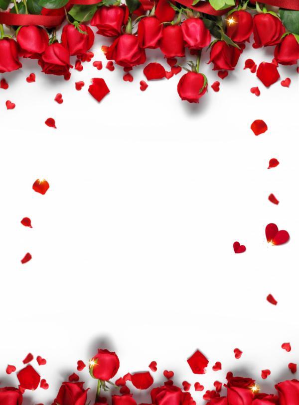 رومانسية عيد الحب بتلات الورد الأحمر الخلفية