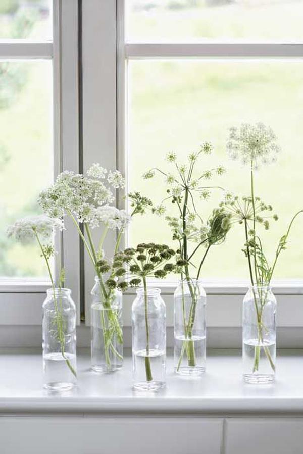 Schöne kleine Blumen auf Ihrem Fensterbrett.