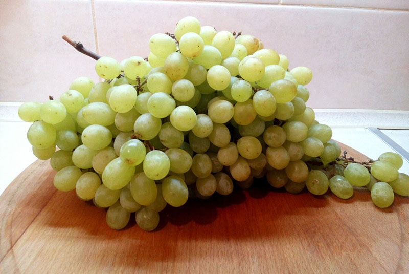 uvas para hacer pasas