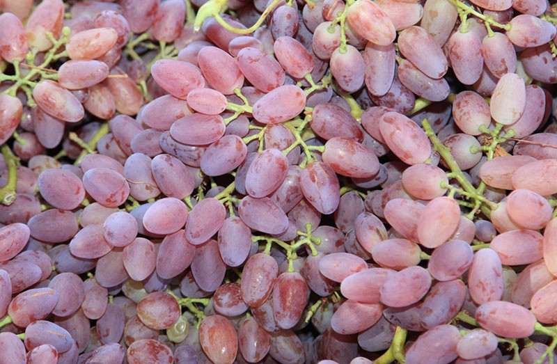 Uvas Kishimsh