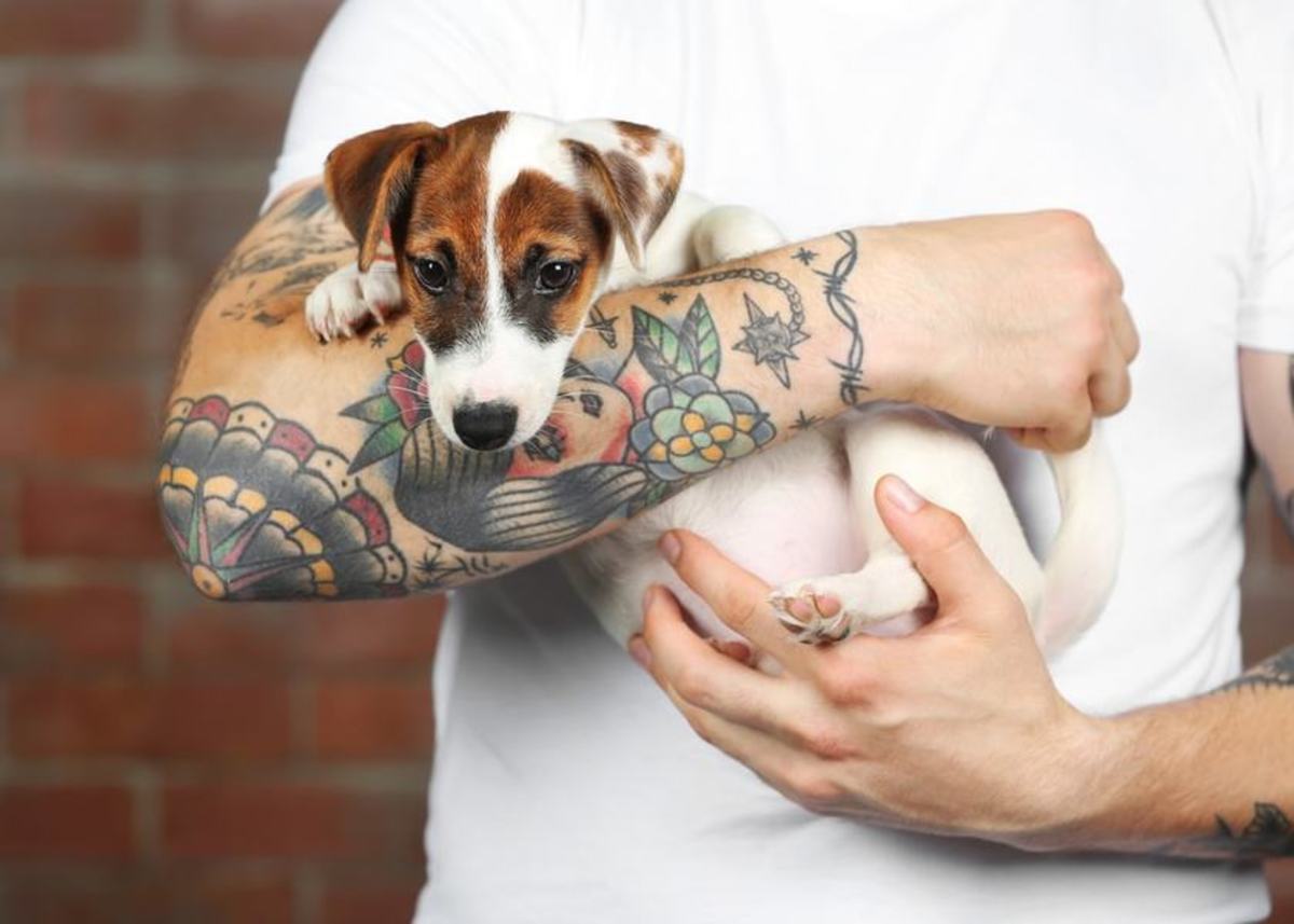 Haustier-Tattoos, Haustier-Tattoo-Ideen, Hunde-Tattoo, Katzen-Tattoo, Haustier-Piercings, Tätowieren von Haustieren, Tierrechtsgesetze, Tattoo-Gesetze, New Yorker Tattoo-Gesetze, New York verbietet Haustier-Tätowierungen, PETA, Ernesto Rodriguez, The National Dog Registry, Tierheim-Tätowierungen, Tierarzt Tattoos Haustiere, Tierheim Tattoos Haustiere, Mistah Metro, Linda Rosenthal, Andrew Cuomo, Tinted Mag