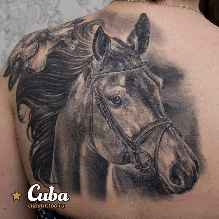 portrét koně tetování