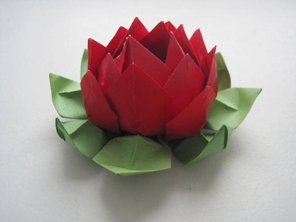 Origami Lotusblume-15