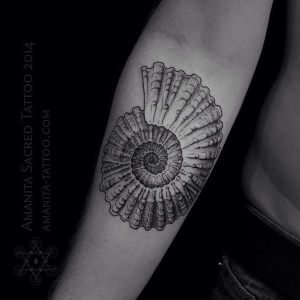 shell tetování-32