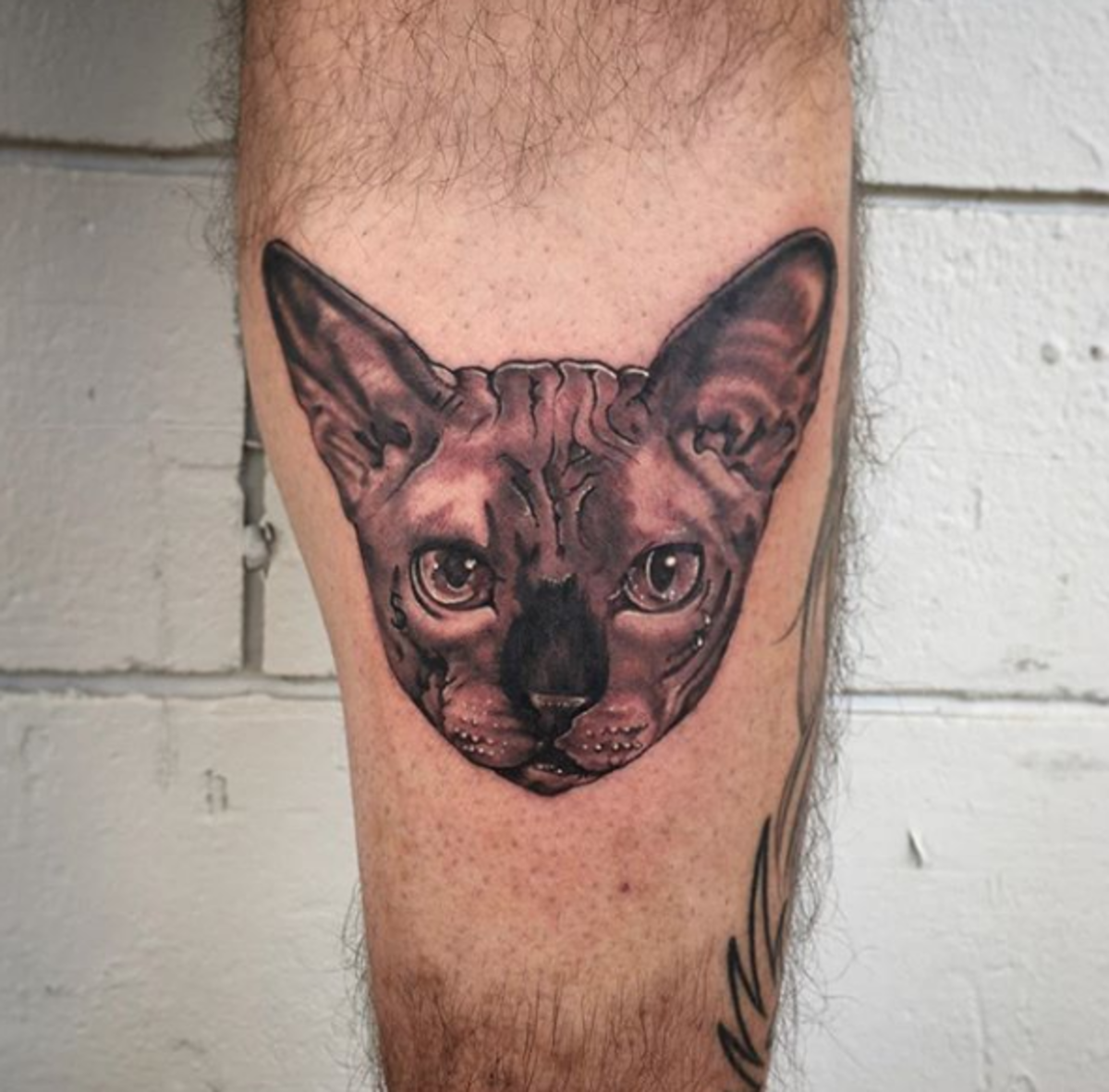 Tattoo, Tätowierer, Tattoo-Idee, Tattoo-Inspiration, Tattoo-Design, Tattoo-Kunst, Tätowiererin, eingefärbt, inkedmag