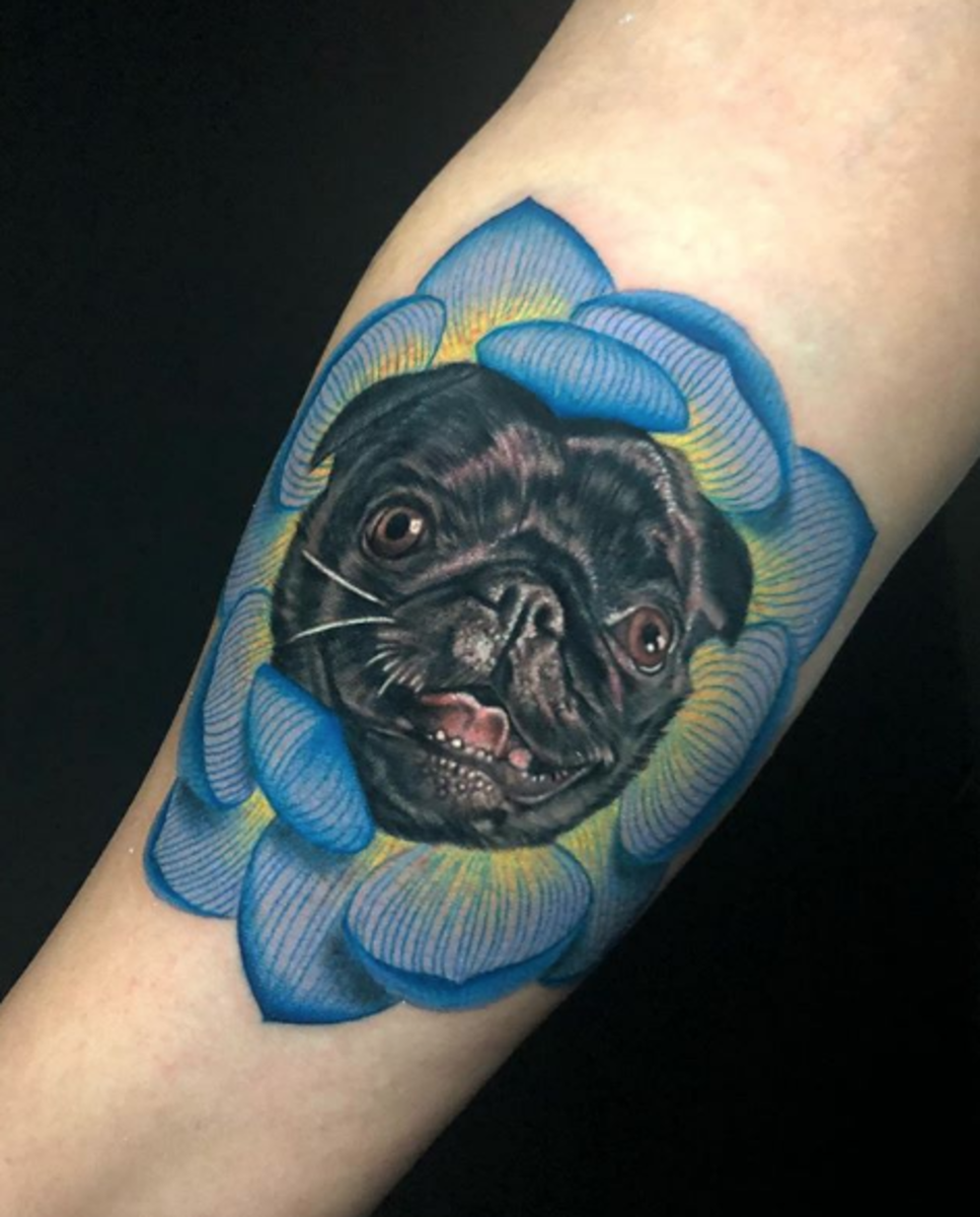 Tattoo, Tätowierer, Tattoo-Idee, Tattoo-Inspiration, Tattoo-Design, Tattoo-Kunst, Tätowiererin, eingefärbt, inkedmag