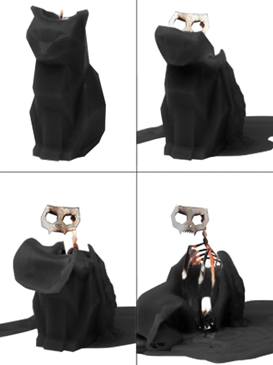 Pyropet Katzenkerze