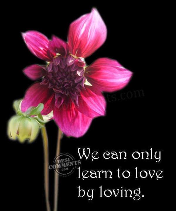 14 Wir können nur lieben lernen, indem wir lieben