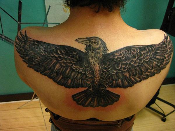 Raven Tattoo na zádech-43
