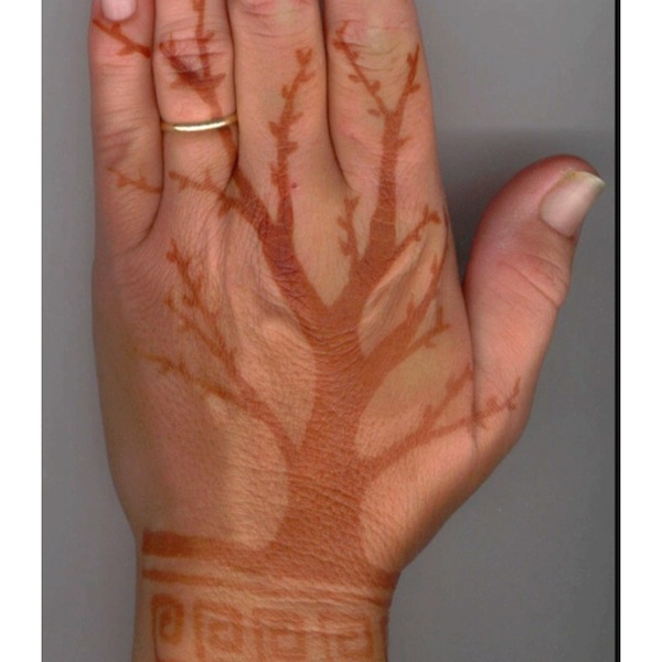 60 atemberaubende Henna-Tattoos und Designs, die zu unglaublich sind, um sie zu beschreiben