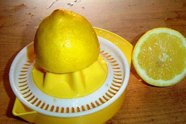 acide de citron