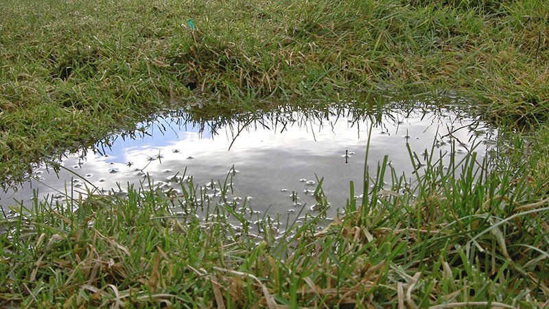 charco después de la lluvia