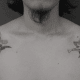 tätowierung, tätowierer, feines linientattoo, schwarz-graues tattoo, tattoo-idee, tattoo-inspiration, tattoo-kunst, eingefärbt, inkedmag