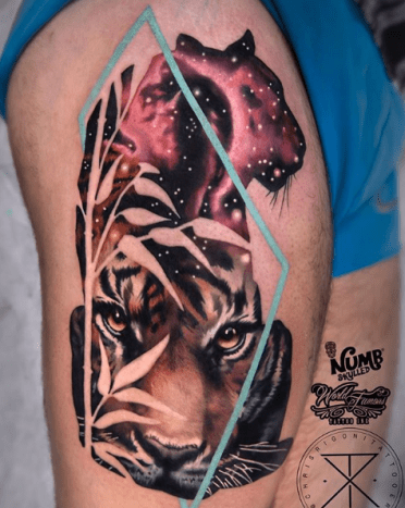 tätowierung, tätowierer, tätowierungskunst, tattoo-design, tattoo-inspiration, löwen-tattoo, tiger-tattoo, eingefärbt, inkedmag