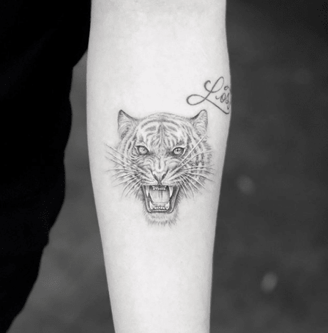 tätowierung, tätowierer, tätowierungskunst, tattoo-design, tattoo-inspiration, löwen-tattoo, tiger-tattoo, eingefärbt, inkedmag