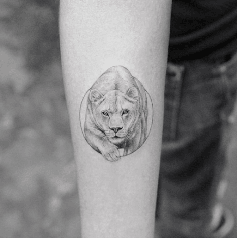 tätowierung, tätowierer, tätowierungskunst, tattoo-design, tattoo-inspiration, löwen-tattoo, tiger-tattoo, eingefärbt, inkedmag