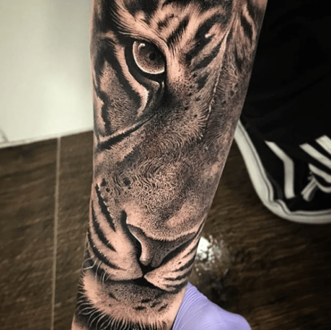 tätowierung, tätowierer, tätowierungskunst, tattoo-design, tattoo-inspiration, löwen-tattoo, tiger-tattoo, eingefärbt, inkedmag