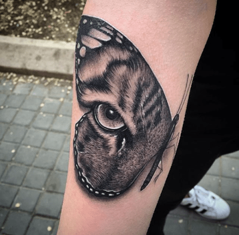 tätowierung, tätowierer, tätowierungskunst, tätowierungsdesign, tätowierungsinspiration, löwentattoo, tigertätowierung, eingefärbt, inkedmag