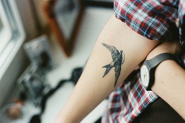 90 erstaunliche Vogel-Tattoos