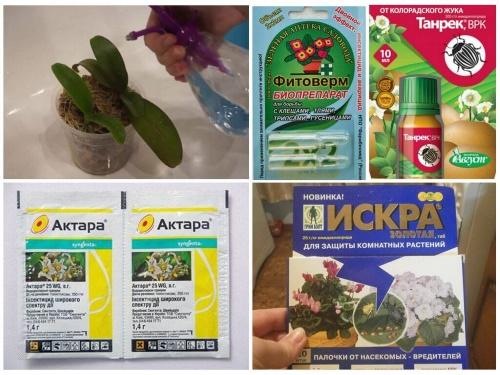 insecticidas