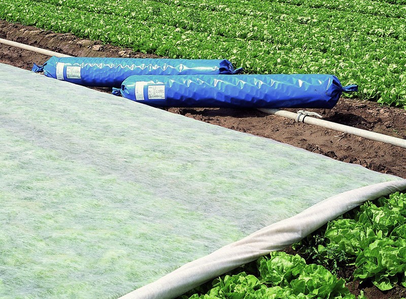 matériau de revêtement pour légumes