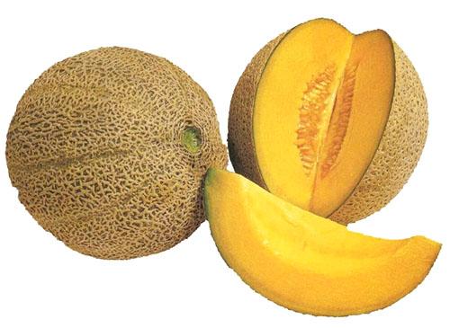 Cantaloup