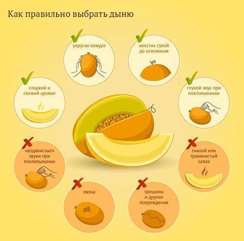 Comment choisir le bon melon