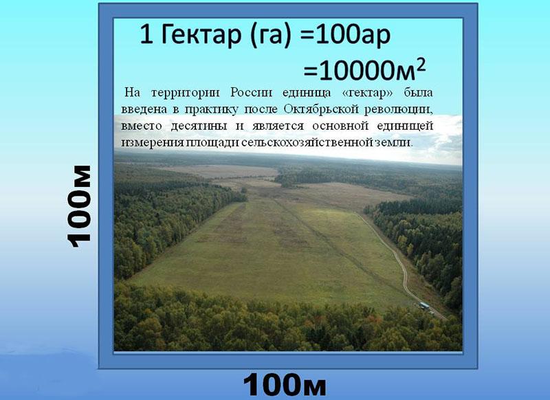 utilisation du terme hectare en Russie