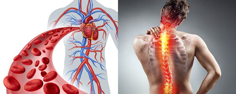 problemas de la columna vertebral y del corazón