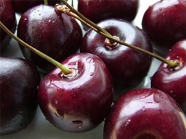 Ovstuzhenka de qualité cerise