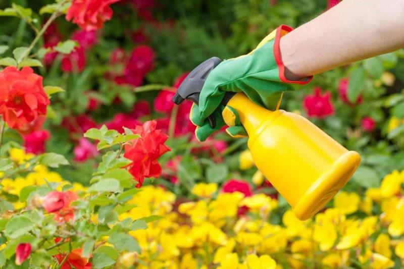 Instrucciones de uso de Aktara para flores.