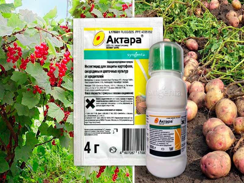 Aktara para cultivos de hortalizas