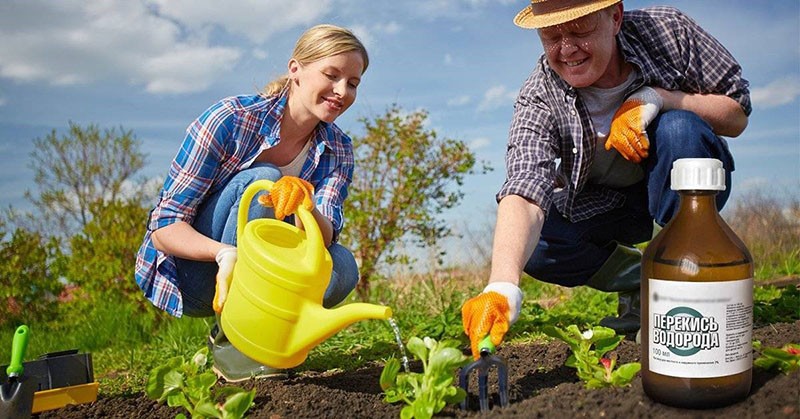 l'utilisation de peroxyde d'hydrogène dans les lits